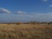 Field View